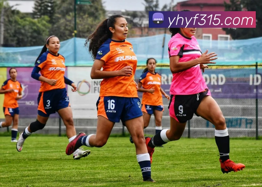 letou最新官网平台生态图